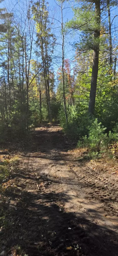 Other - 00 Whitefish Rd, Newaygo, MI 49337 photo 2 of 12