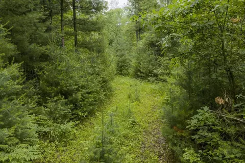 Exterior - 00 Whitefish Rd, Newaygo, MI 49337 photo 4 of 4