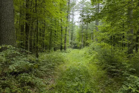 Other - 00 Whitefish Rd, Newaygo, MI 49337 photo 7 of 12