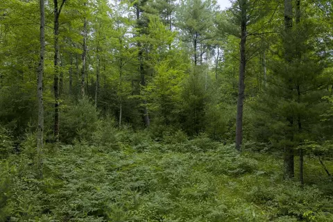 Other - 00 Whitefish Rd, Newaygo, MI 49337 photo 12 of 12