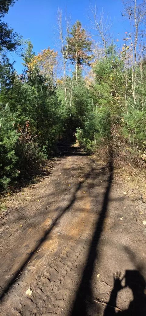 Other - 00 Whitefish Rd, Newaygo, MI 49337 photo 3 of 12