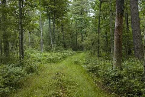 Other - 00 Whitefish Rd, Newaygo, MI 49337 photo 11 of 12