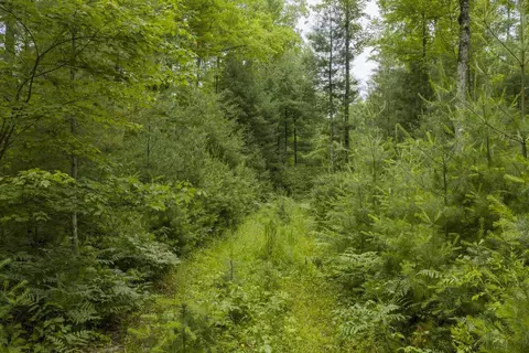 Other - 00 Whitefish Rd, Newaygo, MI 49337 photo 10 of 12