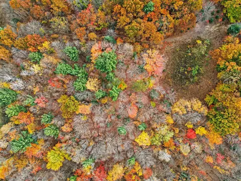 View/Area - lot H Long Leaf Ln, Spring Lake, MI 49456 photo 7 of 12
