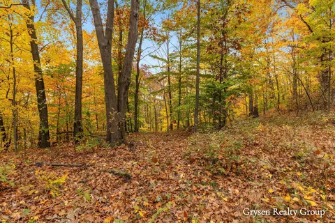 Parcel 7 Leaf Lane, Freeport, MI 49325 photo 8