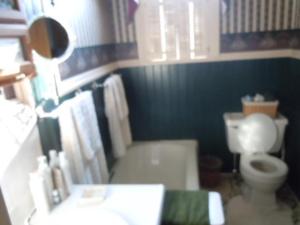 315 E York, Cassopolis, MI 49031 photo 19