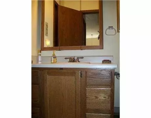 503 Echo Ct, Saline, MI 48176 photo 11