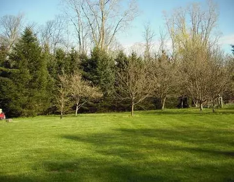 12199 Dewey, Munith, MI 49259 photo 25