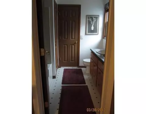 12199 Dewey, Munith, MI 49259 photo 14