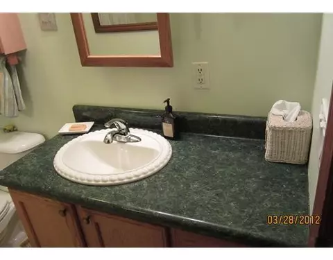 12199 Dewey, Munith, MI 49259 photo 13