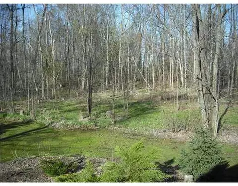 12199 Dewey, Munith, MI 49259 photo 21