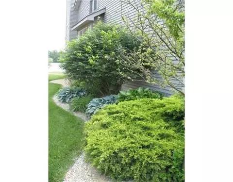 10272 Bemis, Willis, MI 48191 photo 18