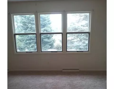 753 Channel, Jackson, MI 49201 photo 3