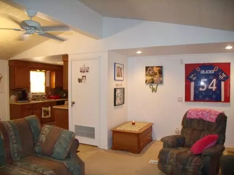 331 Case Rd, Brooklyn, MI 49230 photo 7