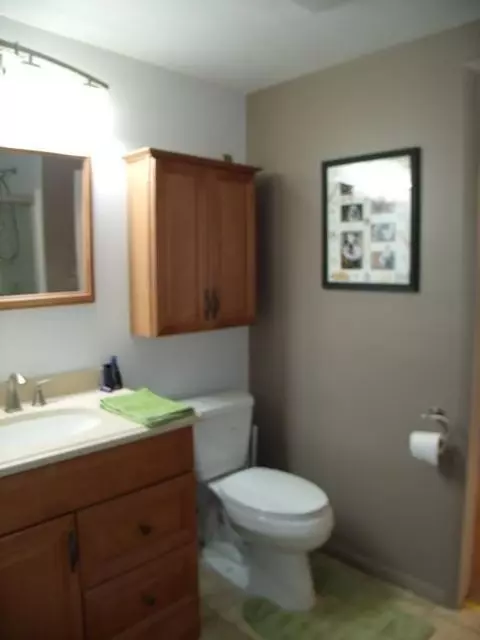 331 Case Rd, Brooklyn, MI 49230 photo 12