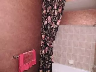 3915 Cornerstone Dr, Canton, MI 48188 photo 22