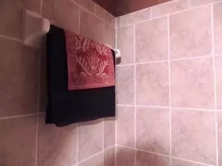 3915 Cornerstone Dr, Canton, MI 48188 photo 23
