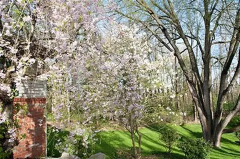 8038 Walsh Rd, Dexter, MI 48130 photo 7