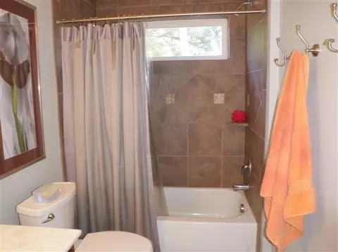 5052 Schrah Dr, Munith, MI 49259 photo 30