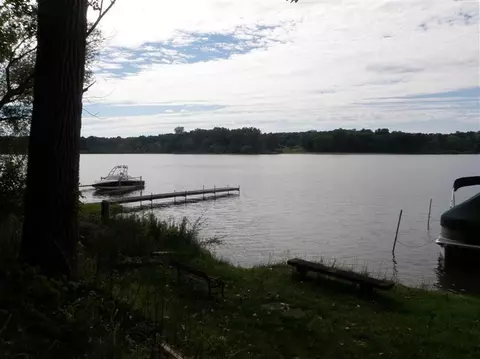 5052 Schrah Dr, Munith, MI 49259 photo 37