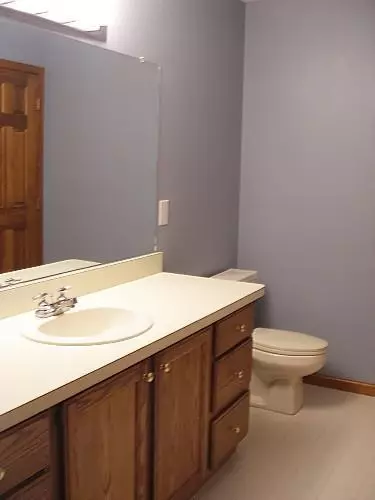 2788 Bent Tree Dr, Dexter, MI 48130 photo 28