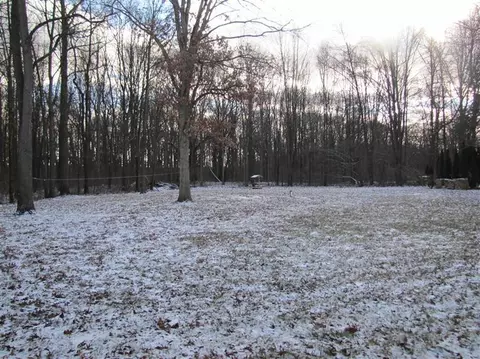 9600 Liss, Willis, MI 48191 photo 5