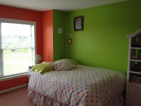 552 Darwin, Saline, MI 48176 photo 22