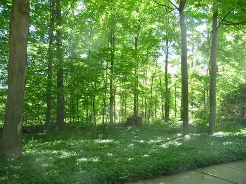 7172 Glencoe Dr, Gregory, MI 48137 photo 43