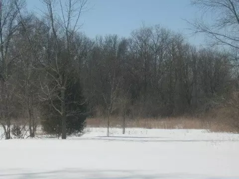 10052 Mckean Rd, Willis, MI 48191 photo 24