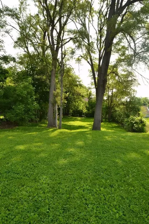 732 Spring, Ann Arbor, MI 48103 photo 23