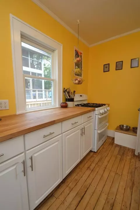 732 Spring, Ann Arbor, MI 48103 photo 13