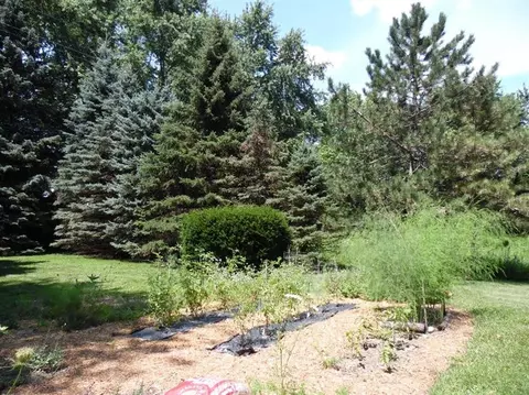 9310 Moon Rd, Saline, MI 48176 photo 37