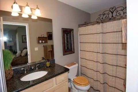 5630 Crest Ct, Dexter, MI 48130 photo 40
