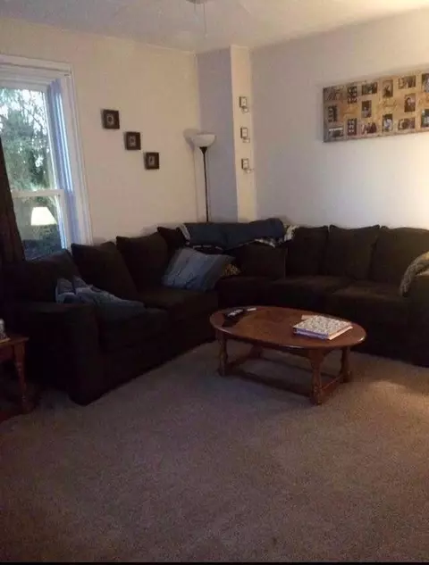 16096 Staib Rd, Tecumseh, MI 49286 photo 7