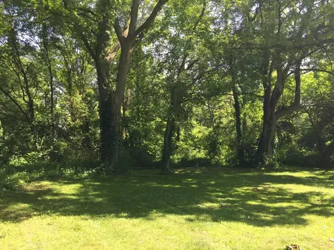 16096 Staib Rd, Tecumseh, MI 49286 photo 10