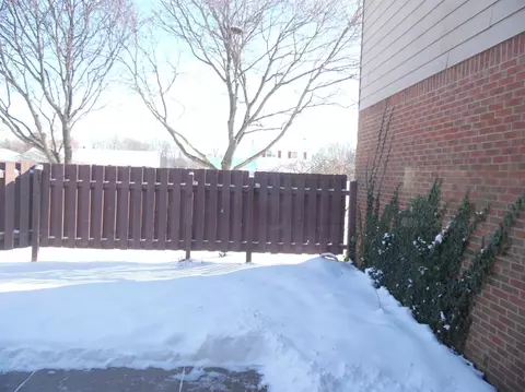 229 Sheffield, Saline, MI 48176 photo 4