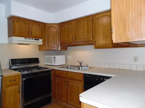 229 Sheffield, Saline, MI 48176 photo 8