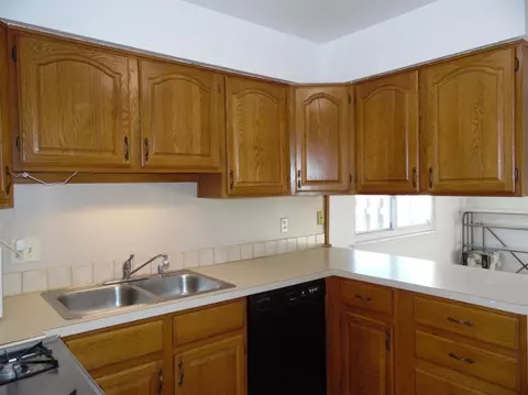 229 Sheffield, Saline, MI 48176 photo 10