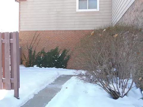 229 Sheffield, Saline, MI 48176 photo 3