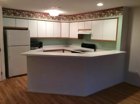 1307 Millbrooktrl, Ann Arbor, MI 48108 photo 3