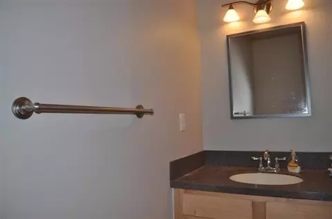 2805 Windside Ct, Ann Arbor, MI 48103 photo 10