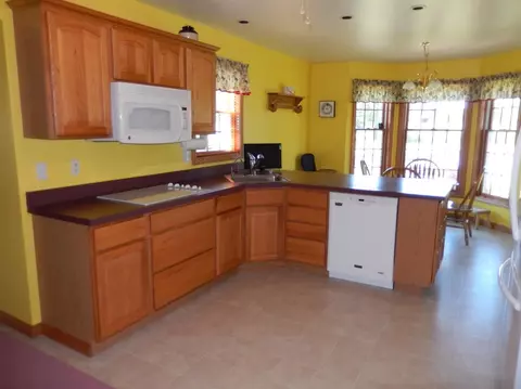 17245 Brewer Rd, Dundee, MI 48131 photo 3