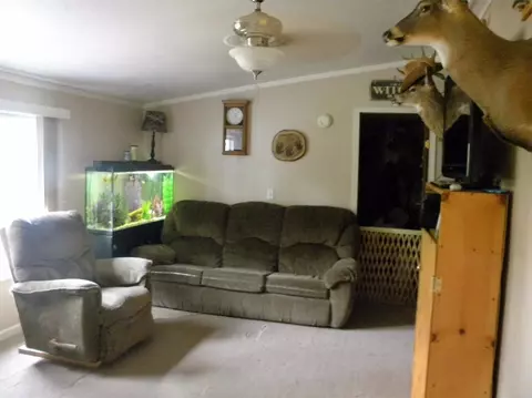 9550 Plank Rd, Maybee, MI 48159 photo 3