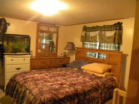 9550 Plank Rd, Maybee, MI 48159 photo 6