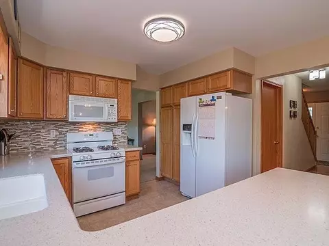 490 Coventry Cir, Dexter, MI 48130 photo 10