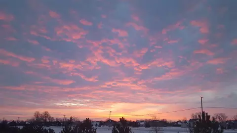 485 Corinth Cir, Dundee, MI 48131 photo 21