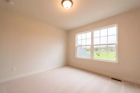 5722 Hartman Ct, Dexter, MI 48130 photo 53