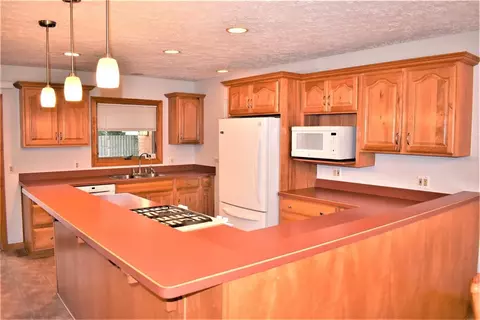 844 W Willis, Saline, MI 48176 photo 5