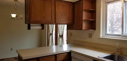 189 Sheffield, Saline, MI 48176 photo 5