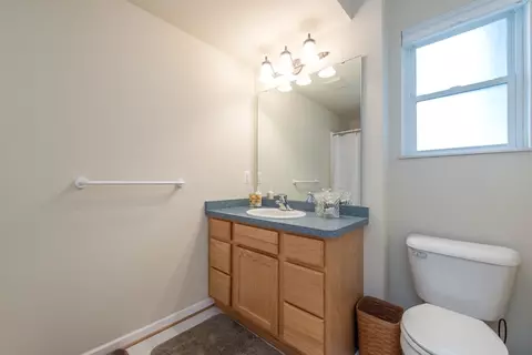 3004 Fieldstone Dr, Dexter, MI 48130 photo 42
